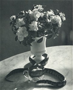 Image description is not available for 2014.028